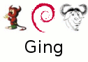 Ging